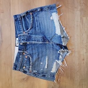 Agolde Parker Cut off Shorts Size 24
